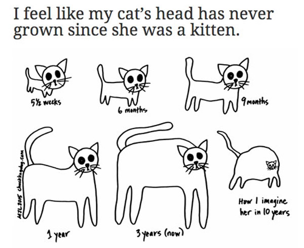  head cat comic