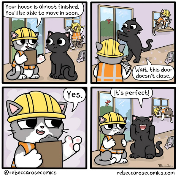 house cat comic