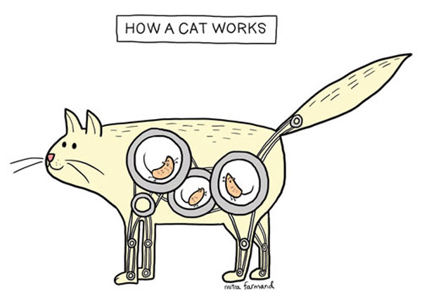 how cats work comic