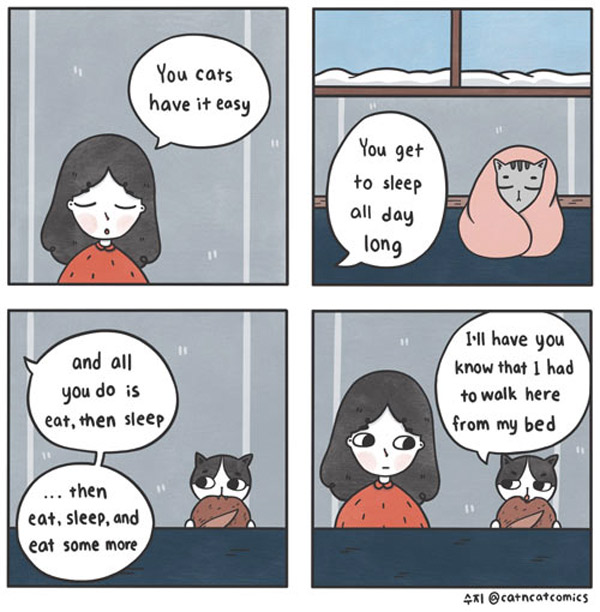 lazy cat comic