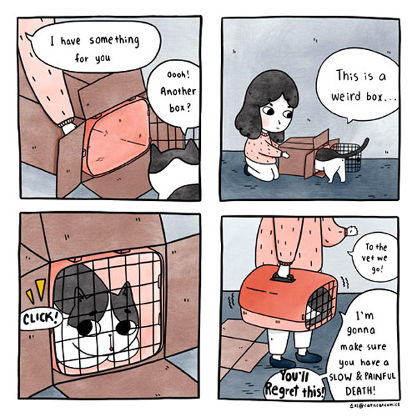 new cat cage comic