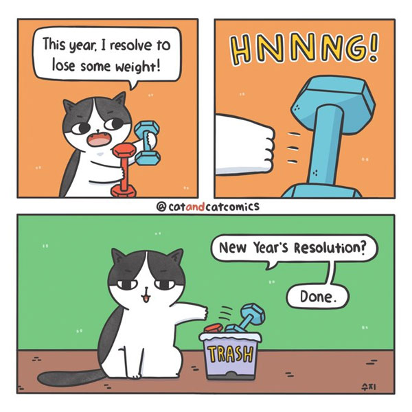 new years cat comic