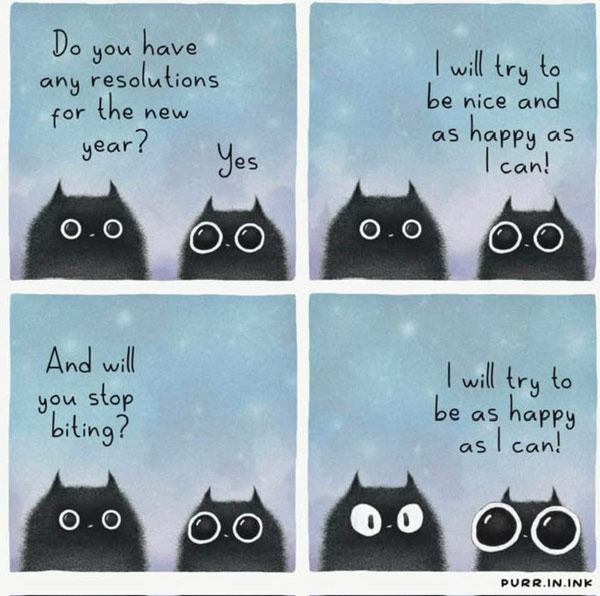 new years resoltion cats comic