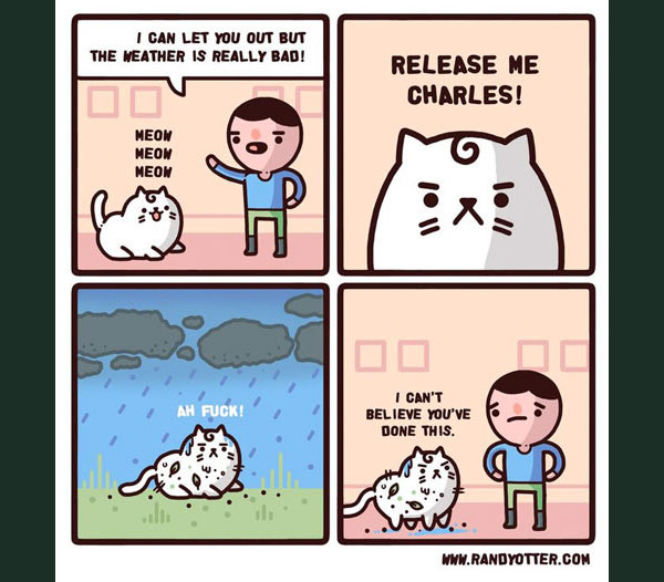 outside cat comic