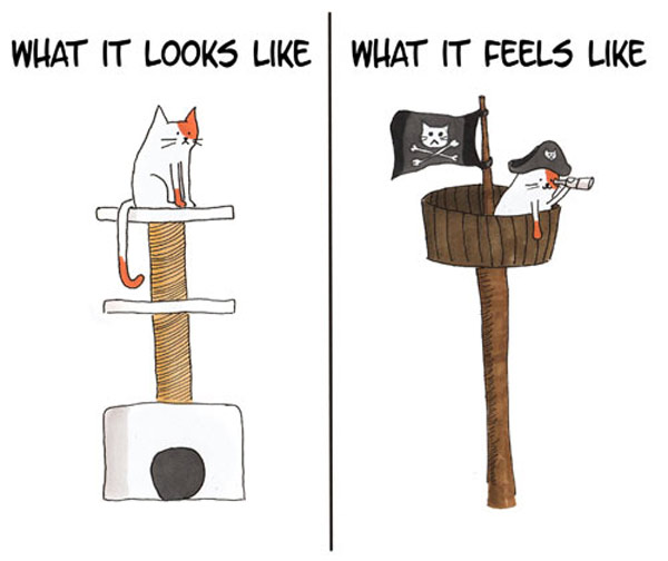 pirate kitty comic