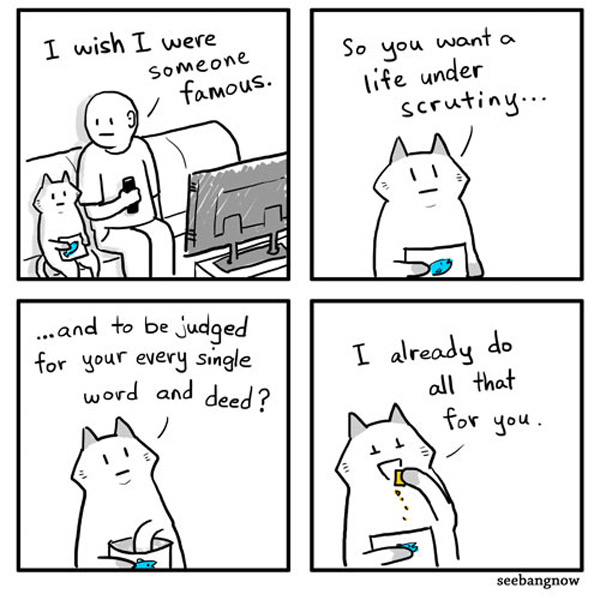 sarcastic  cat comic