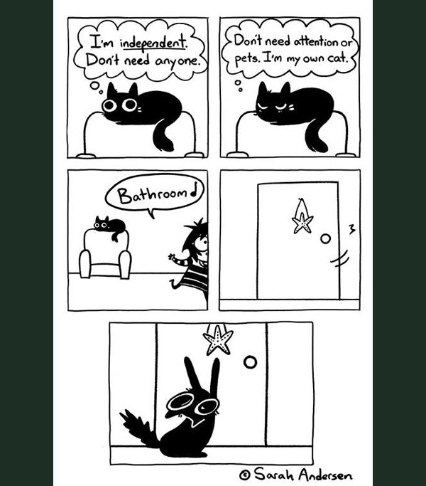 nervous kitty comic