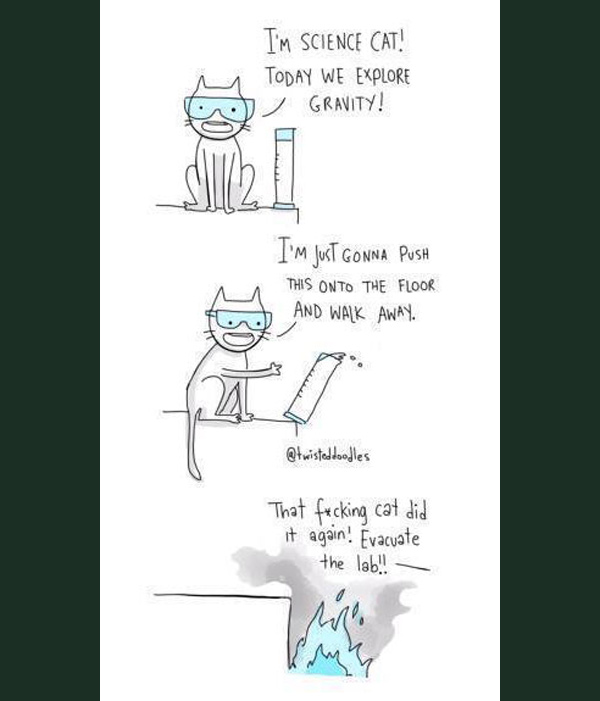 science cat comic