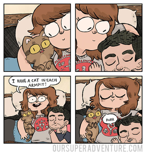 sleeping with cats comic