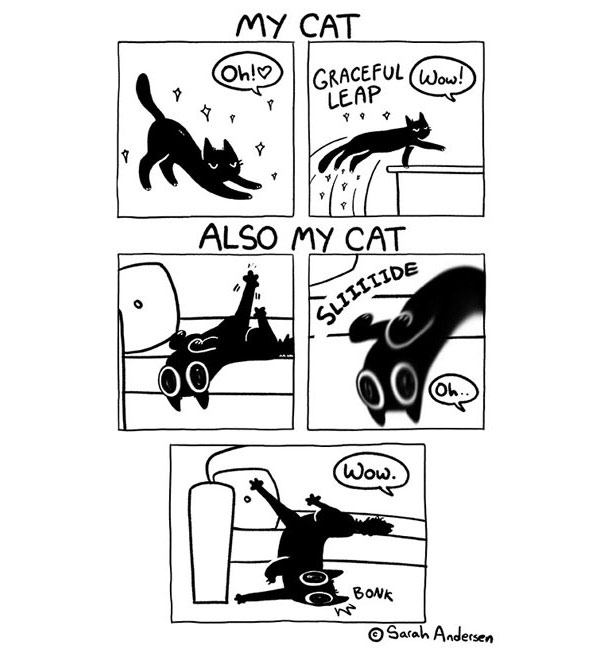 sliding cat comic