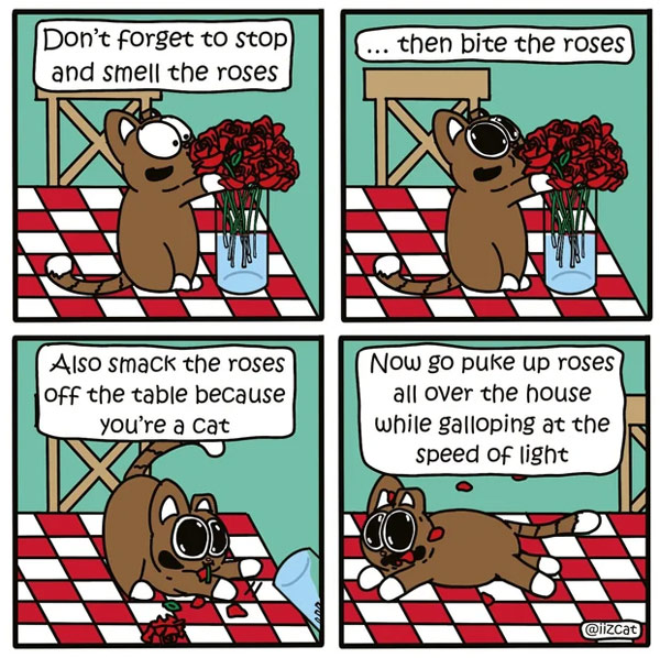 smell the roses cat comic