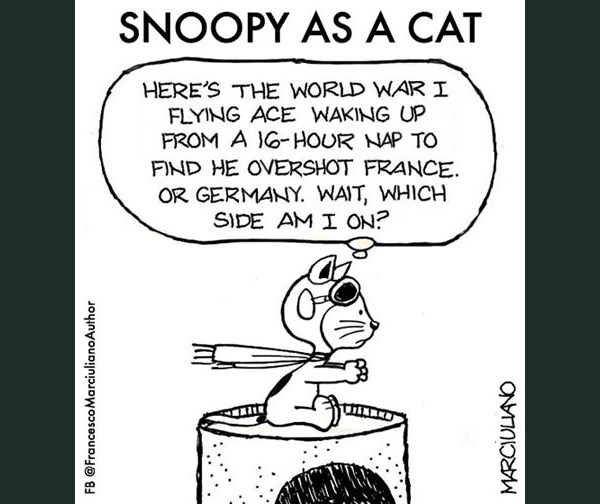 snoopy as a  cat comic