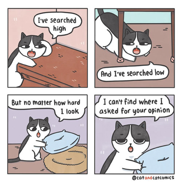 snotty cat comic