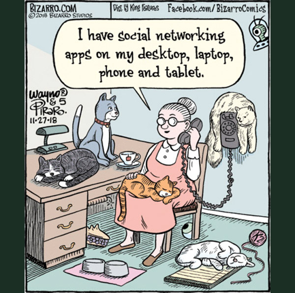 social network cat comic