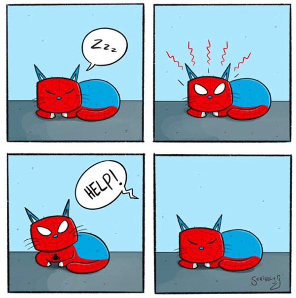 spidey cat sleeps comic