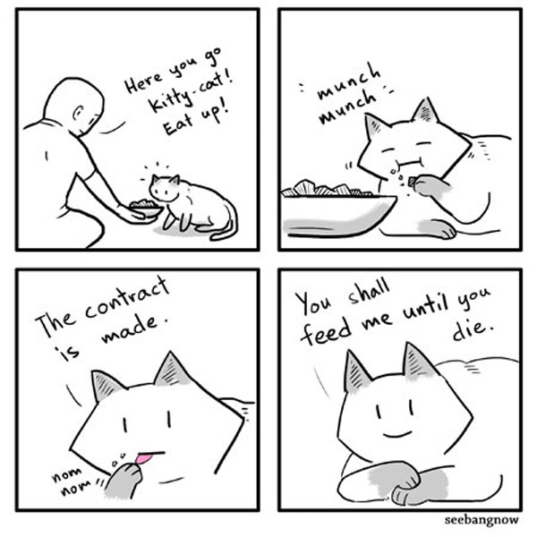 feeding a stray cat comic