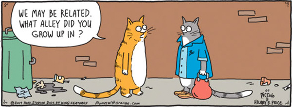 stray cats comic