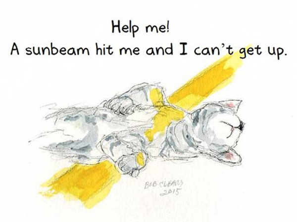 sunbeam cat comic