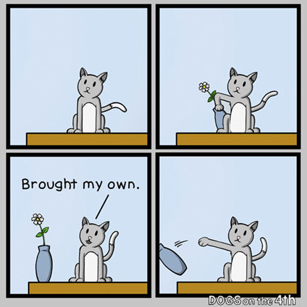 vase cat comic