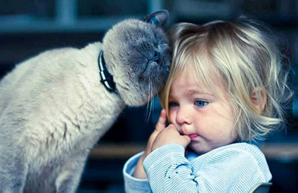 cat leaning in to child