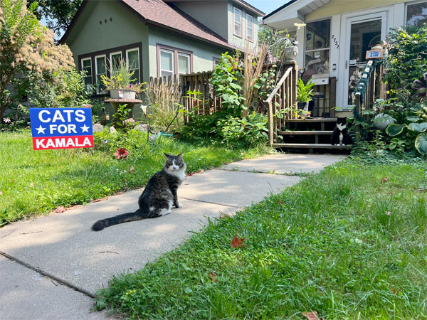 cats for kamala