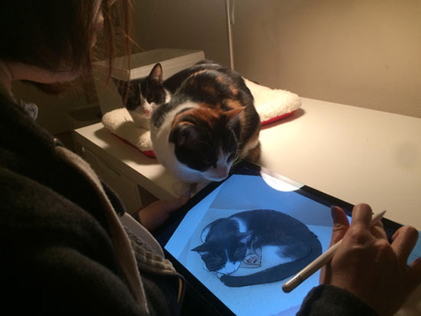 drawing the cat