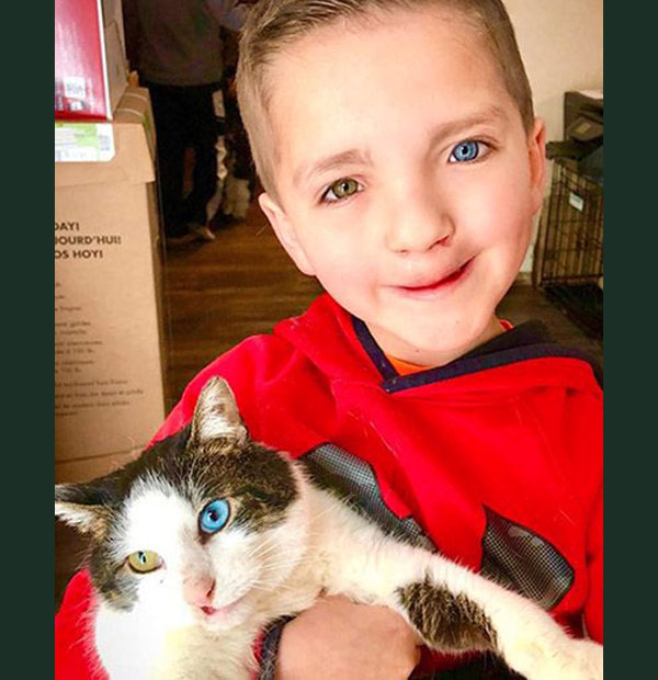 cat and boy with same colo eyes