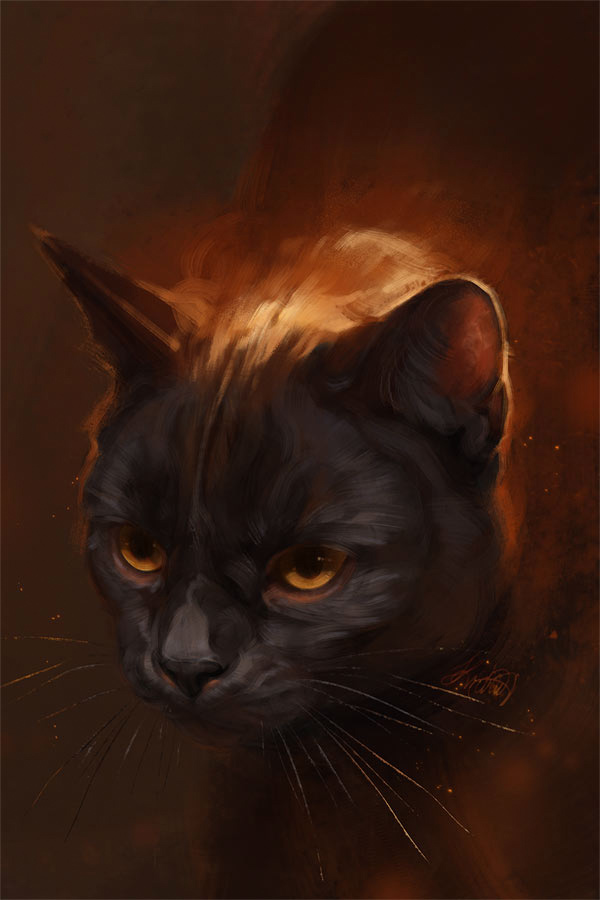 dramatic black cat painting