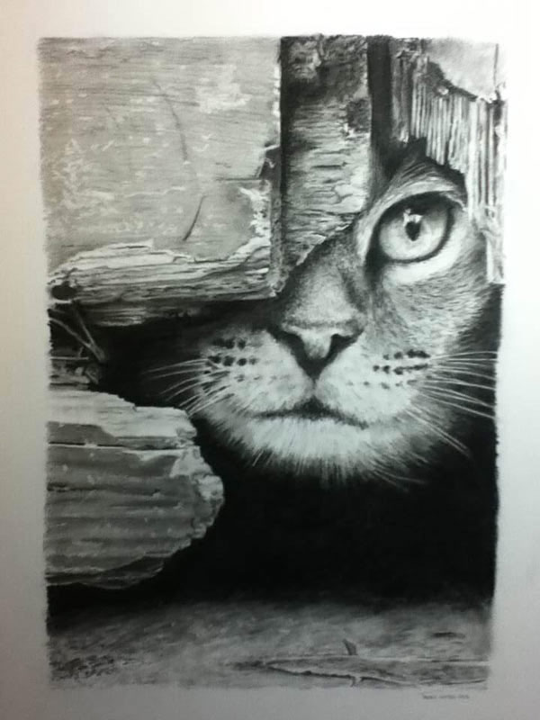 cat in graphite