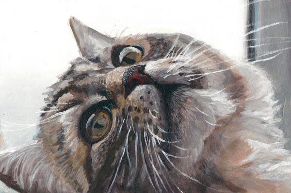 cat study art