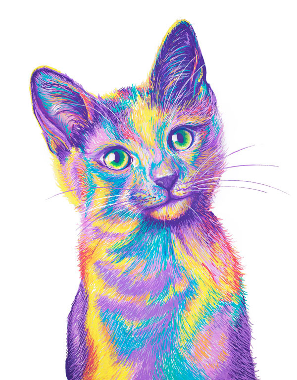 colorful cat art