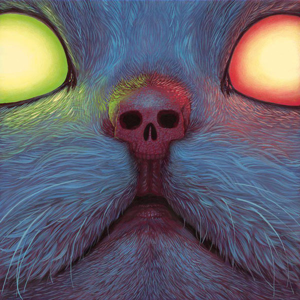 skull nose cat art