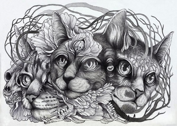 surreal faces cat art