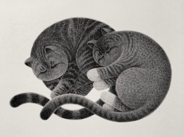 twosleeping cats art