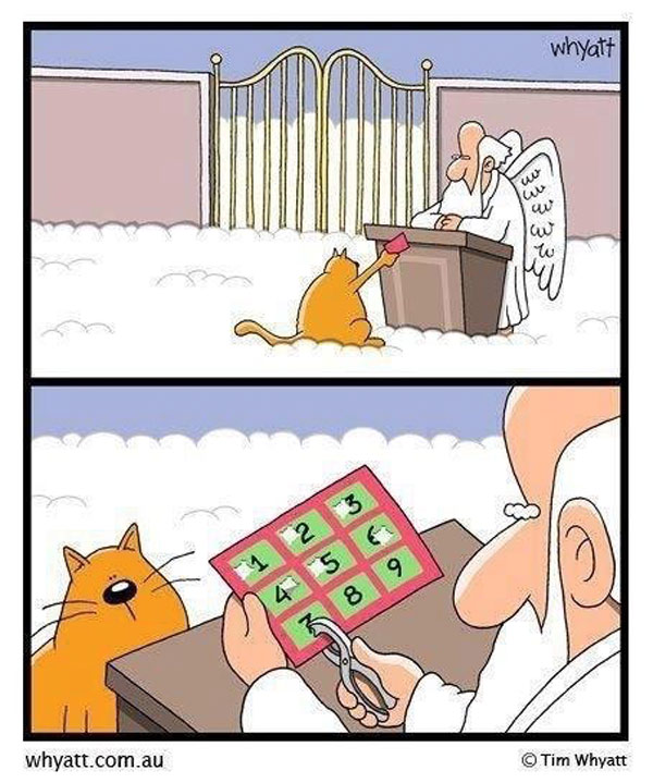 kitty in heaven comic