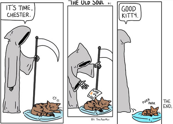cat meets death  comic