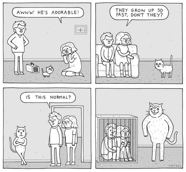 abnormally large cat  comic