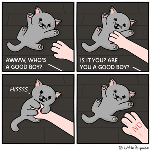 bad good kitty comic