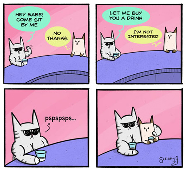 barfly cats comic