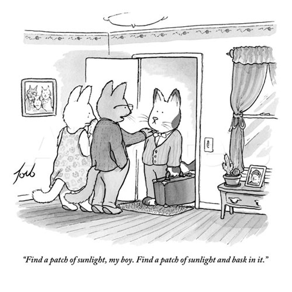 bask in the sun comic