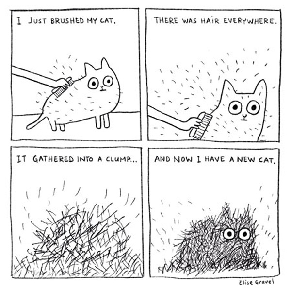 brushing your cat comic