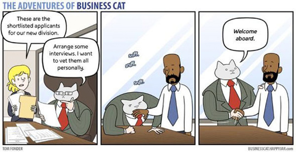 business cat comic
