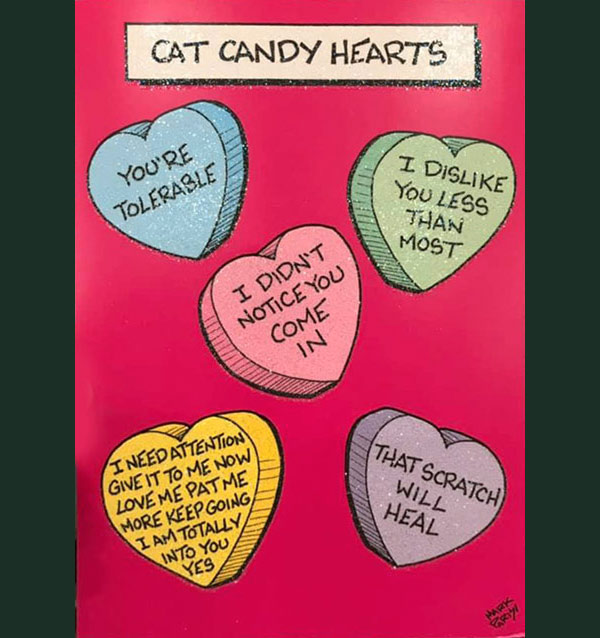 cat candy hearts comic