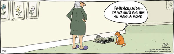 cat chess comic