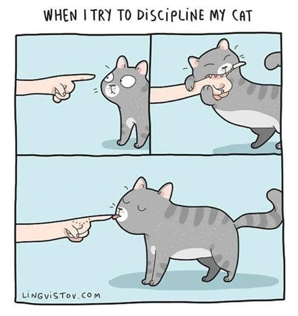 cat discipline comic