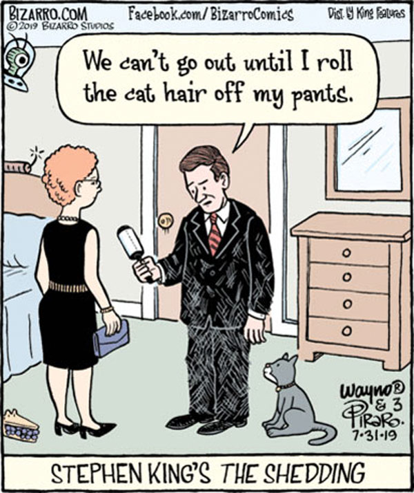 hair cat comic