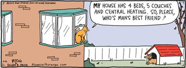 cat teasing dog   comic