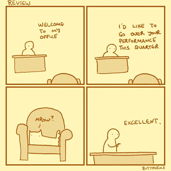 ct job review  comic