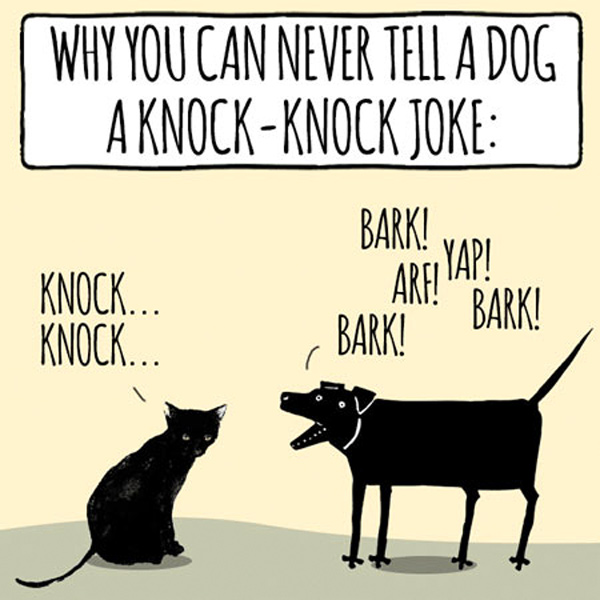 cat knock-knock joke comic