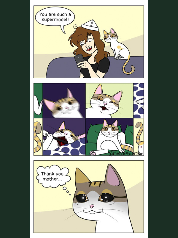 modeling cat comic